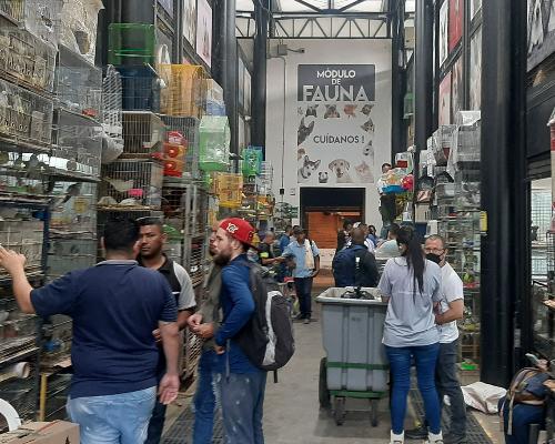 FotografoFoto Alcaldía de Medellín:La Alcaldía de Medellín adelanta controles en la Minorista y en parques para garantizar el bienestar animal.